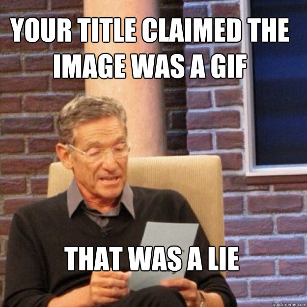 Your title claimed the image was a GIF That was a lie  Maury