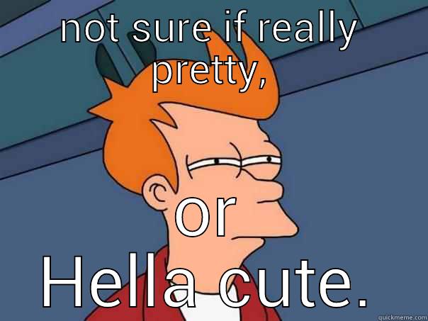 NOT SURE IF REALLY PRETTY, OR HELLA CUTE. Futurama Fry