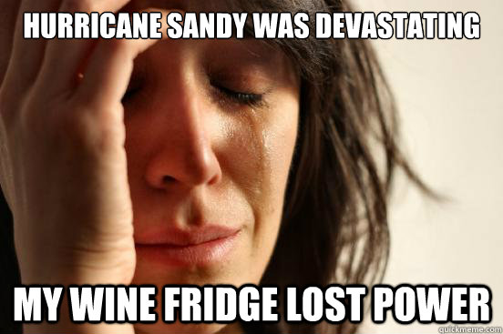 Hurricane sandy was devastating my wine fridge lost power - Hurricane sandy was devastating my wine fridge lost power  First World Problems