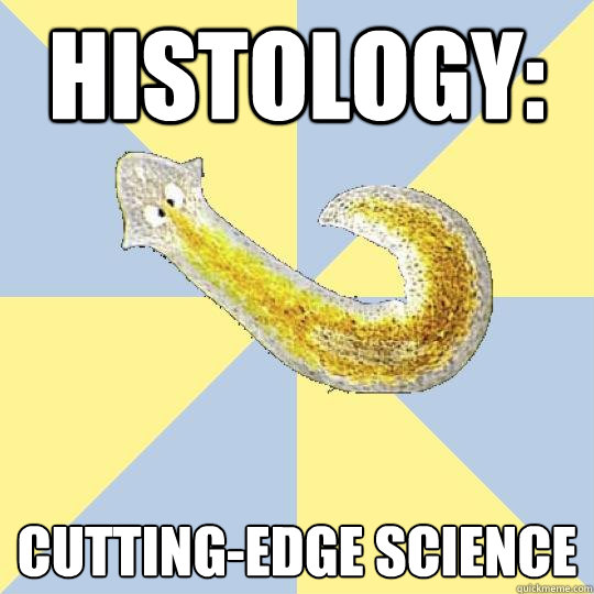 histology: cutting-edge science  Bio Major Planarian
