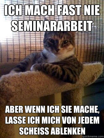ich mach fast nie seminararbeit aber wenn ich sie mache, lasse ich mich von jedem scheiss ablenken  The Most Interesting Cat in the World