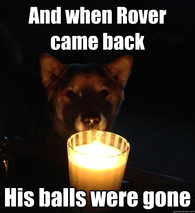 And when Rover came back His balls were gone - And when Rover came back His balls were gone  Scary Story Dog