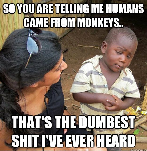 So you are telling me humans came from monkeys.. that's the dumbest shit i've ever heard   Skeptical Third World Kid