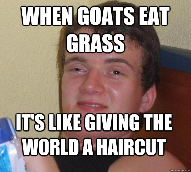 when goats eat grass it's like giving the world a haircut - when goats eat grass it's like giving the world a haircut  10 Guy
