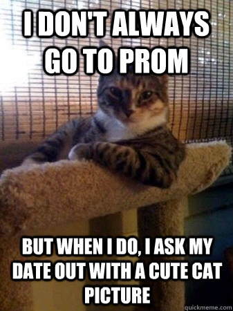 I don't always go to prom  but when I do, I ask my date out with a cute cat picture   The Most Interesting Cat in the World
