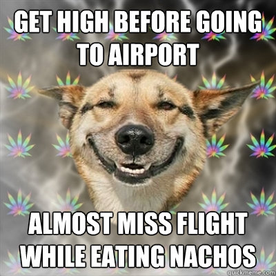 Get high before going to airport Almost miss flight while eating nachos - Get high before going to airport Almost miss flight while eating nachos  Stoner Dog
