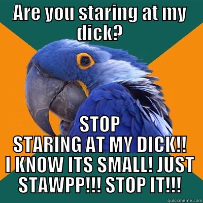 Parinoid parrot.  - ARE YOU STARING AT MY DICK? STOP STARING AT MY DICK!! I KNOW ITS SMALL! JUST STAWPP!!! STOP IT!!! Paranoid Parrot