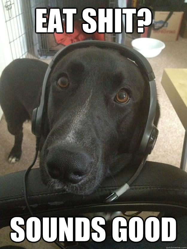 Eat shit? sounds good  Gamer Dog
