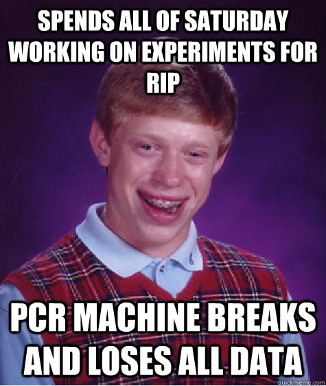 Spends all of saturday working on experiments for RIP PCR machine breaks and loses all data   Bad Luck Brian