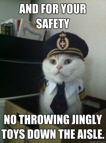 And for your safety No throwing jingly toys down the aisle.   Captain kitteh