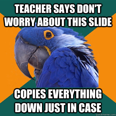teacher says don't worry about this slide copies everything down just in case  Paranoid Parrot