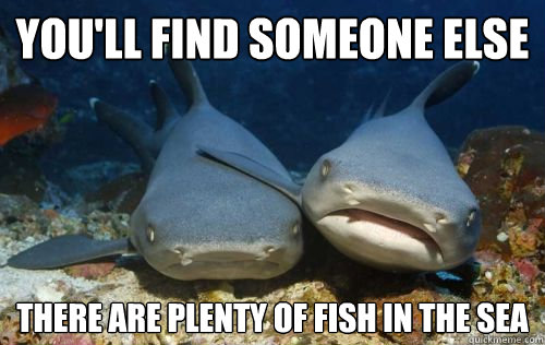 You'll find someone else There are plenty of fish in the sea  Compassionate Shark Friend