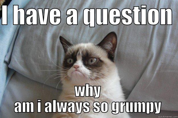 I HAVE A QUESTION  WHY AM I ALWAYS SO GRUMPY Grumpy Cat
