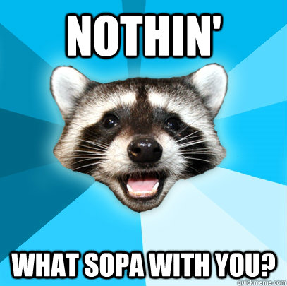 NOTHIN' WHAT SOPA WITH YOU?  Lame Pun Coon