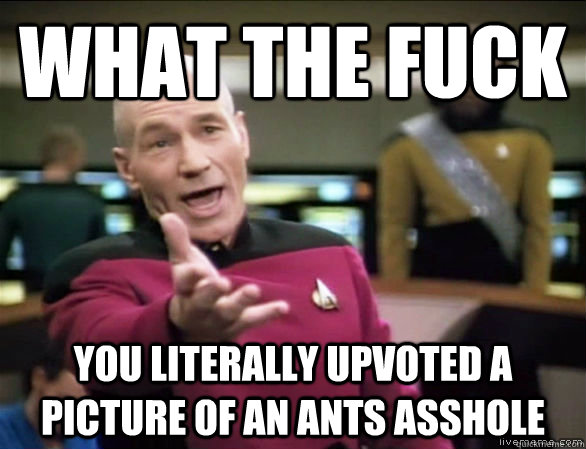 what the fuck you literally upvoted a picture of an ants asshole  Annoyed Picard HD