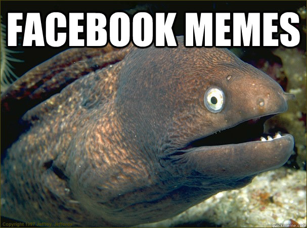 facebook memes   Bad Joke Eel