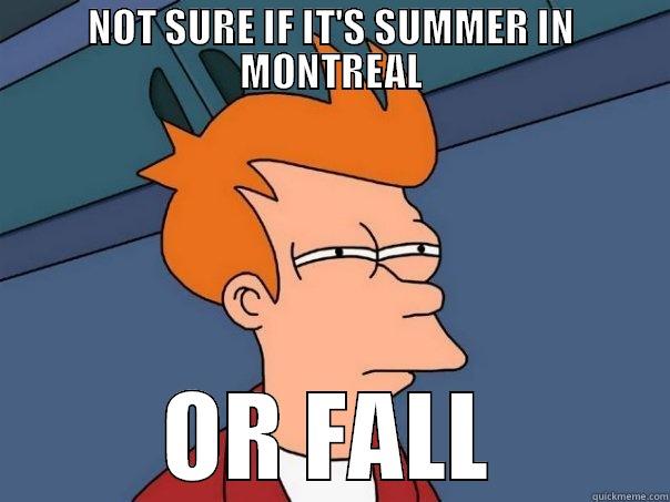 NOT SURE IF IT'S SUMMER IN MONTREAL OR FALL Futurama Fry