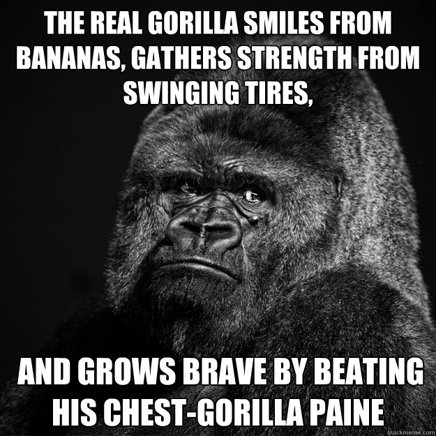 The real gorilla smiles from bananas, gathers strength from swinging tires,
  and grows brave by beating his chest-Gorilla Paine
 - The real gorilla smiles from bananas, gathers strength from swinging tires,
  and grows brave by beating his chest-Gorilla Paine
  Reflective Gorilla