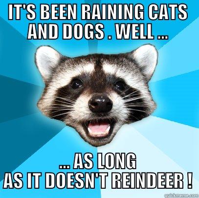 IT'S BEEN RAINING CATS AND DOGS . WELL ... ... AS LONG AS IT DOESN'T REINDEER ! Lame Pun Coon