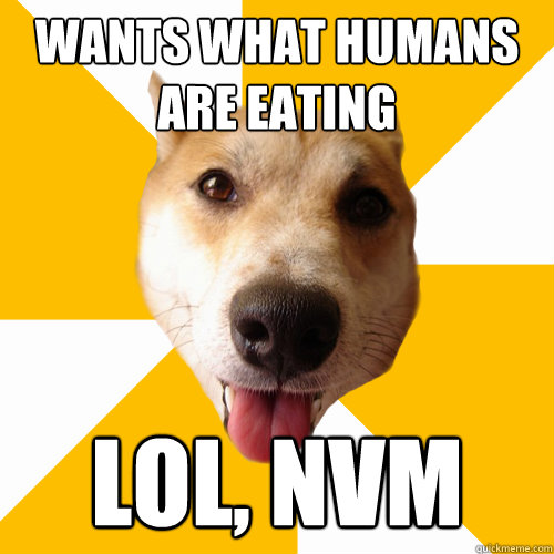 WANTS WHAT HUMANS ARE EATING LOL, NVM  