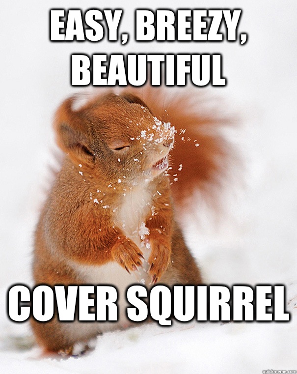 Easy, breezy, beautiful Cover squirrel  - Easy, breezy, beautiful Cover squirrel   cover squirrel