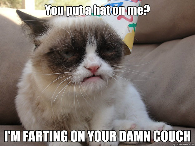 You put a hat on me? I'M FARTING ON YOUR DAMN COUCH  A very grumpy birthday