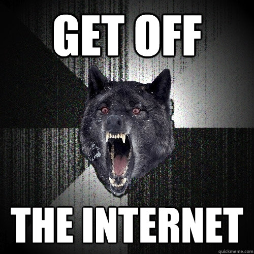 GET OFF THE INTERNET  Insanity Wolf