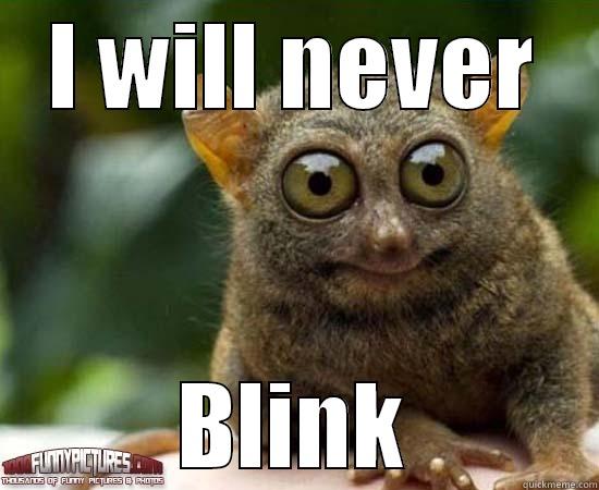 Bug eyes - I WILL NEVER BLINK Misc