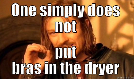 ONE SIMPLY DOES NOT PUT BRAS IN THE DRYER Boromir