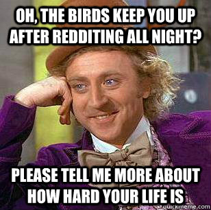 Oh, the birds keep you up after redditing all night? Please tell me more about how hard your life is - Oh, the birds keep you up after redditing all night? Please tell me more about how hard your life is  Misc