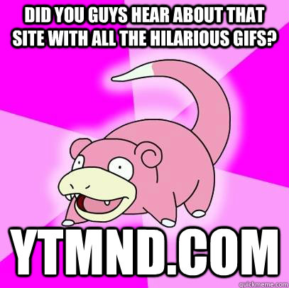 did you guys hear about that site with all the hilarious gifs? YTMND.com - did you guys hear about that site with all the hilarious gifs? YTMND.com  Slowpoke