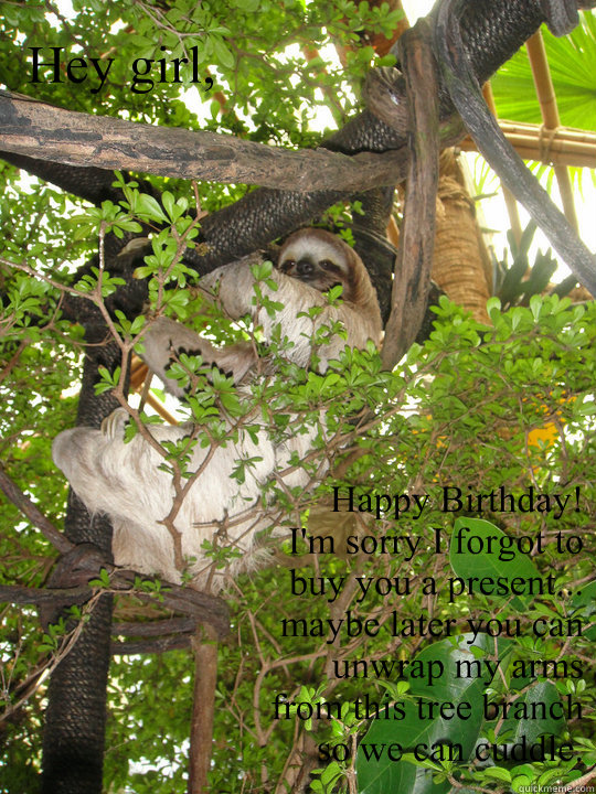 Hey girl, Happy Birthday!
I'm sorry I forgot to buy you a present...
maybe later you can unwrap my arms from this tree branch so we can cuddle. - Hey girl, Happy Birthday!
I'm sorry I forgot to buy you a present...
maybe later you can unwrap my arms from this tree branch so we can cuddle.  Inappropriate Sloth