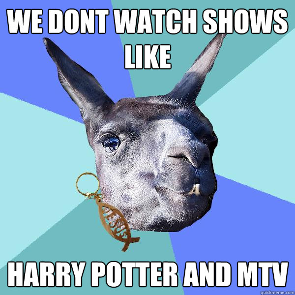 we dont watch shows like harry potter and mtv - we dont watch shows like harry potter and mtv  Christian Mama Llama