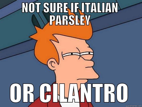 NOT SURE IF ITALIAN PARSLEY OR CILANTRO Futurama Fry