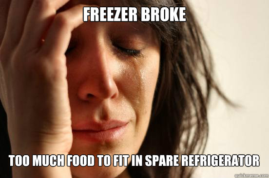 freezer broke too much food to fit in spare refrigerator   First World Problems