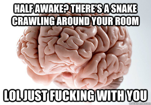 Half awake? There's a snake crawling around your room lol just fucking with you  Scumbag Brain