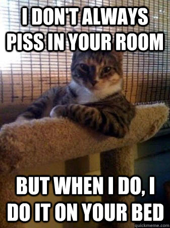 I don't always piss in your room but when I do, I do it on your bed  The Most Interesting Cat in the World