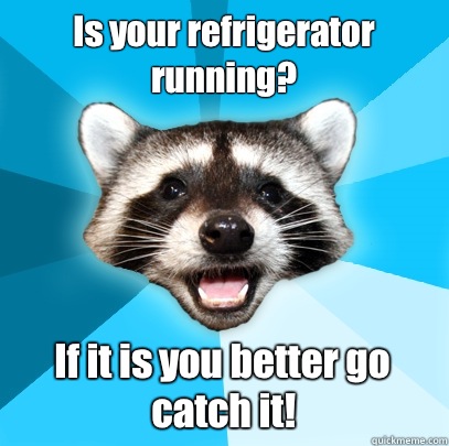 Is your refrigerator running? If it is you better go catch it!  Lame Pun Coon