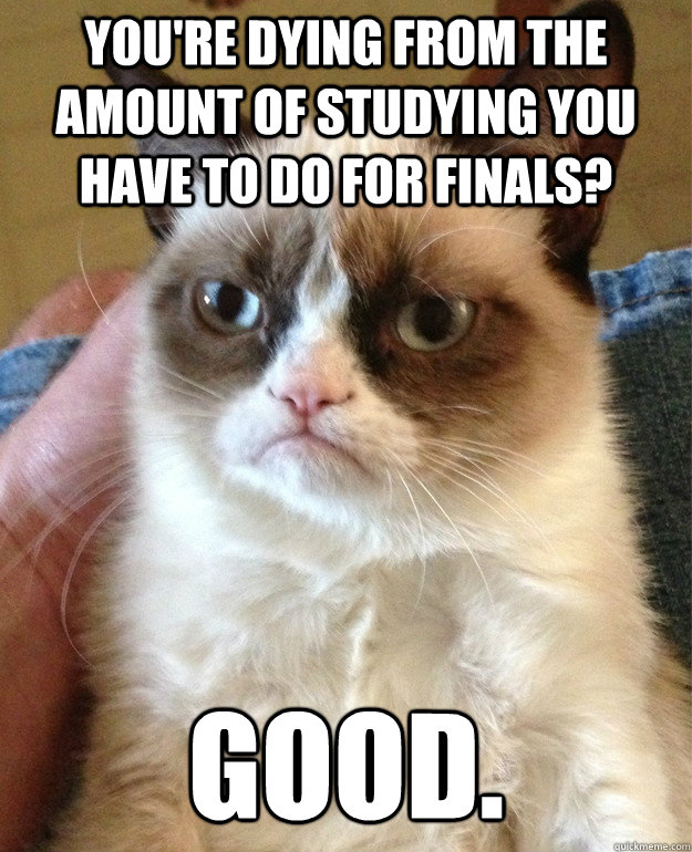 You're dying from the amount of studying you have to do for finals? good.  - You're dying from the amount of studying you have to do for finals? good.   Grump Cat