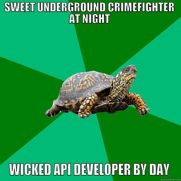 SWEET UNDERGROUND CRIMEFIGHTER AT NIGHT WICKED API DEVELOPER BY DAY Torrenting Turtle