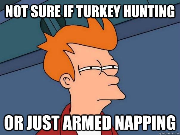 Not sure if turkey hunting Or just armed napping   Futurama Fry