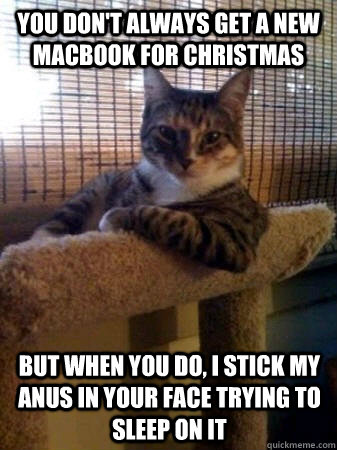 You don't always get a new macbook for christmas But when you do, I stick my anus in your face trying to sleep on it  The Most Interesting Cat in the World