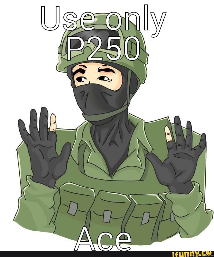 USE ONLY P250 ACE Misc