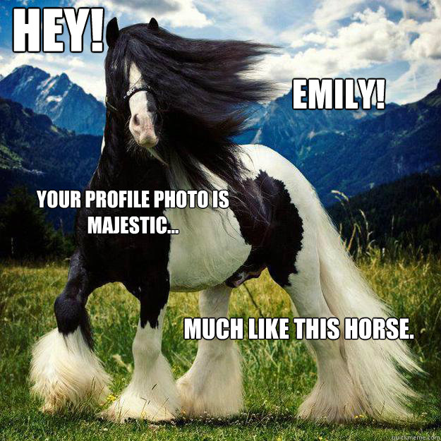 Your Profile photo is majestic... Much like this horse. Hey! Emily!  