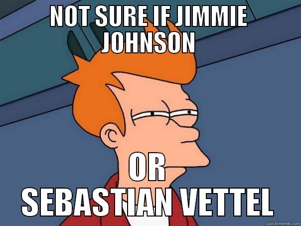 NOT SURE IF JIMMIE JOHNSON OR SEBASTIAN VETTEL Futurama Fry