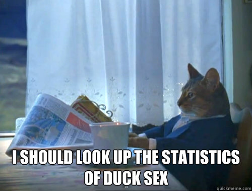  I should look up the statistics of duck sex  The One Percent Cat
