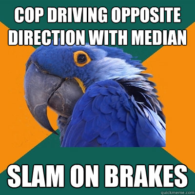cop driving opposite direction with median slam on brakes  Paranoid Parrot