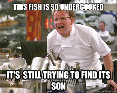 this fish is so undercooked  it's  still trying to find its son - this fish is so undercooked  it's  still trying to find its son  Chef Ramsay