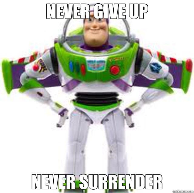 NEVER GIVE UP NEVER SURRENDER  