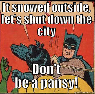 IT SNOWED OUTSIDE, LET'S SHUT DOWN THE CITY DON'T BE A PANSY! Slappin Batman